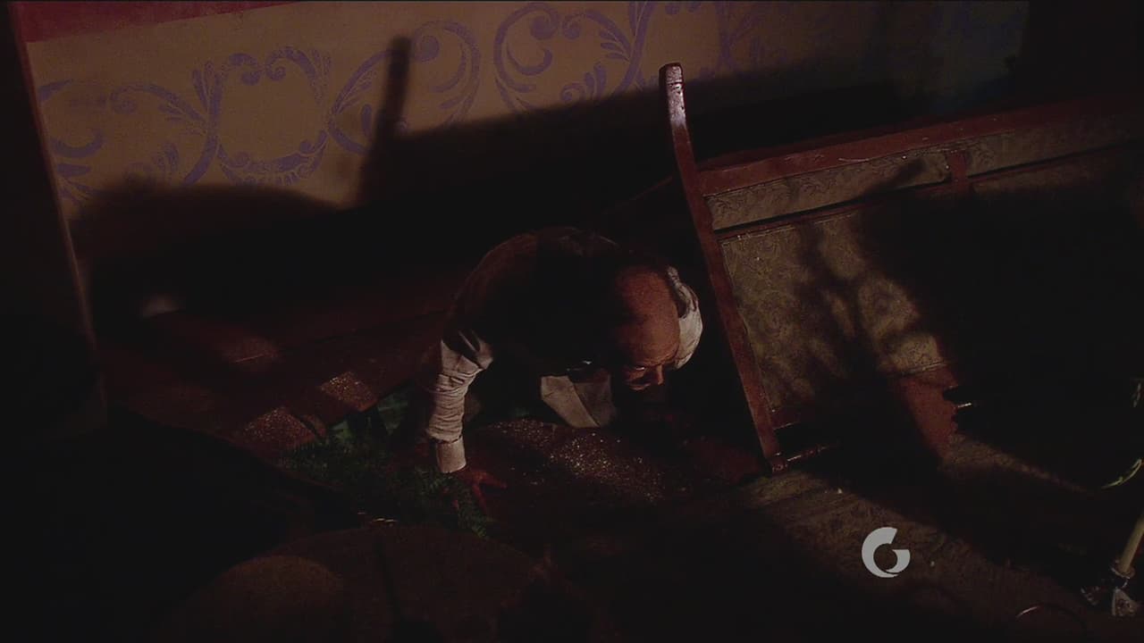 Aquiles permanece escondido hasta que parece estar todo seguro. Cuando no escucha nada sale de su escondite.