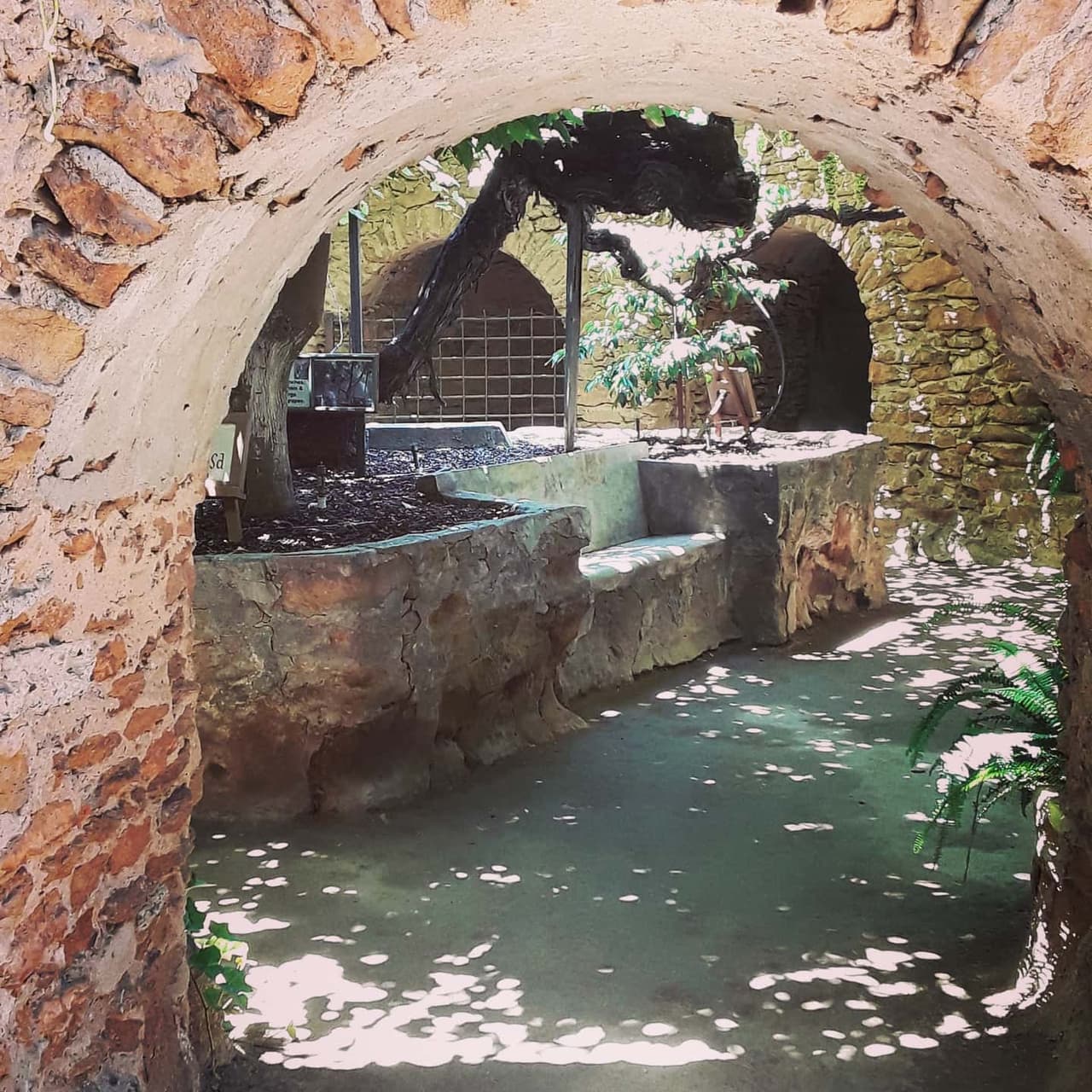 <b><a href="http://www.undergroundgardens.com/visit-forestiere-underground-gardens" target="_blank">Jardines Subterráneos de Fresno.</a></b> Se trata de una vivienda subterránea, cuyos jardines y pasadizos han sido una atracción del 
<b><a href="https://goo.gl/maps/S7HvHeecNinoiJuJ9" target="_blank">Valle Central de California</a> </b>desde inicios del siglo pasado. Fueron construidos con el propósito de resguardarse del calor propio de estos parajes. Hoy, los visitantes pueden recorrer la antigua casona de su dueño, 
<b>previa reservación debido al coronavirus.</b>
<br>
<b>Para consultas de <a href="http://www.undergroundgardens.com/visit-forestiere-underground-gardens" target="_blank">ingreso, reservas, y restricciones</a>, llamar al (559) 271.0734</b>