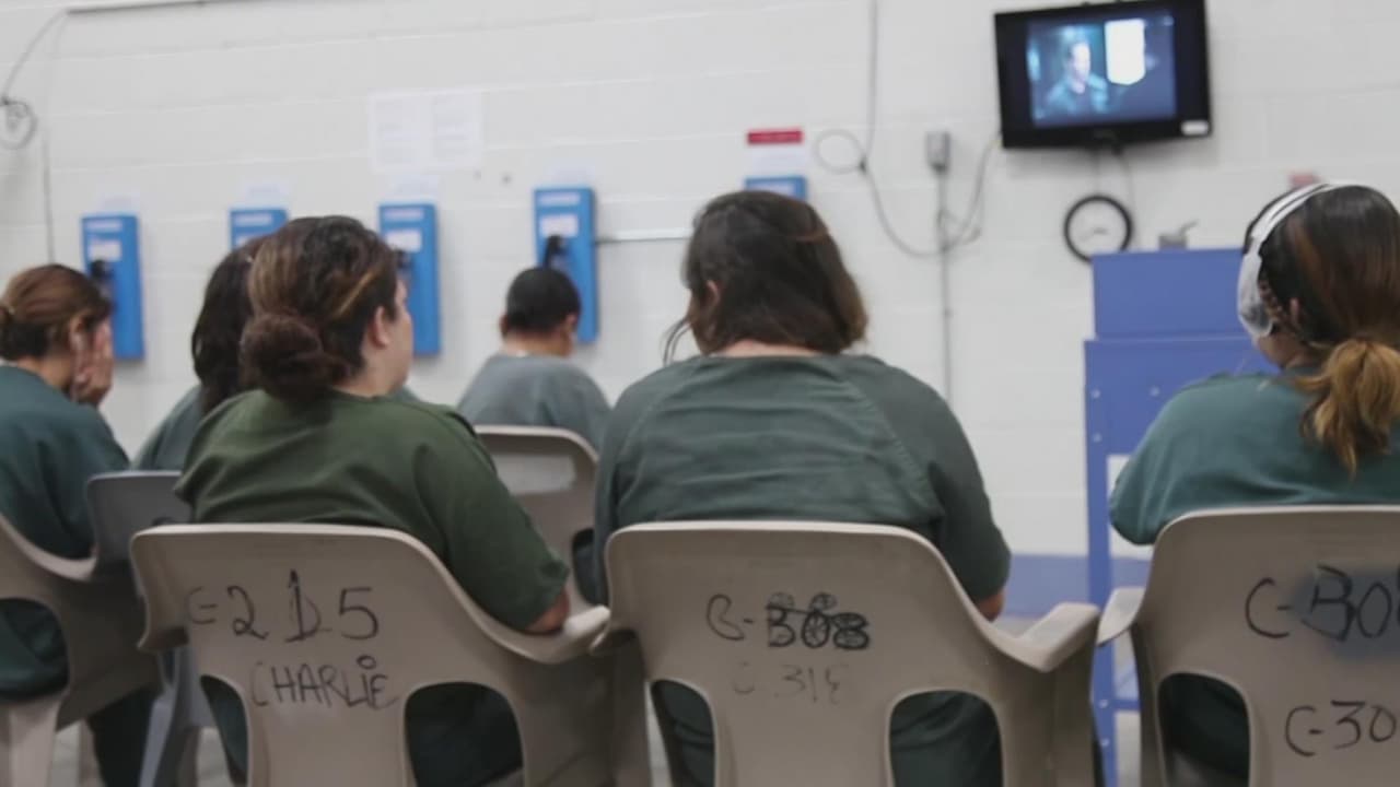 "Estuve sangrando por una semana": lo que revela el informe sobre "procedimientos ginecológicos excesivos" en cárcel de ICE