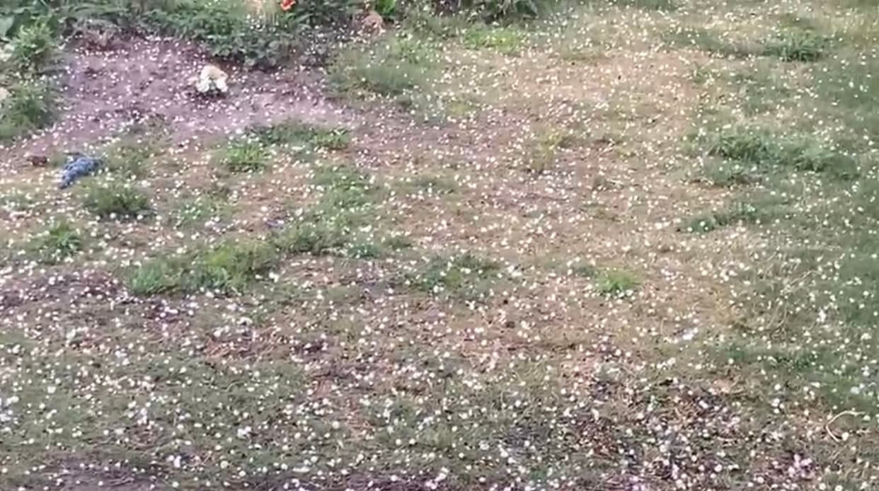 Las tormentas severas iniciaron justo en la hora pico de tráfico este martes, de 5:00 p.m. hasta las 7:00 p.m.