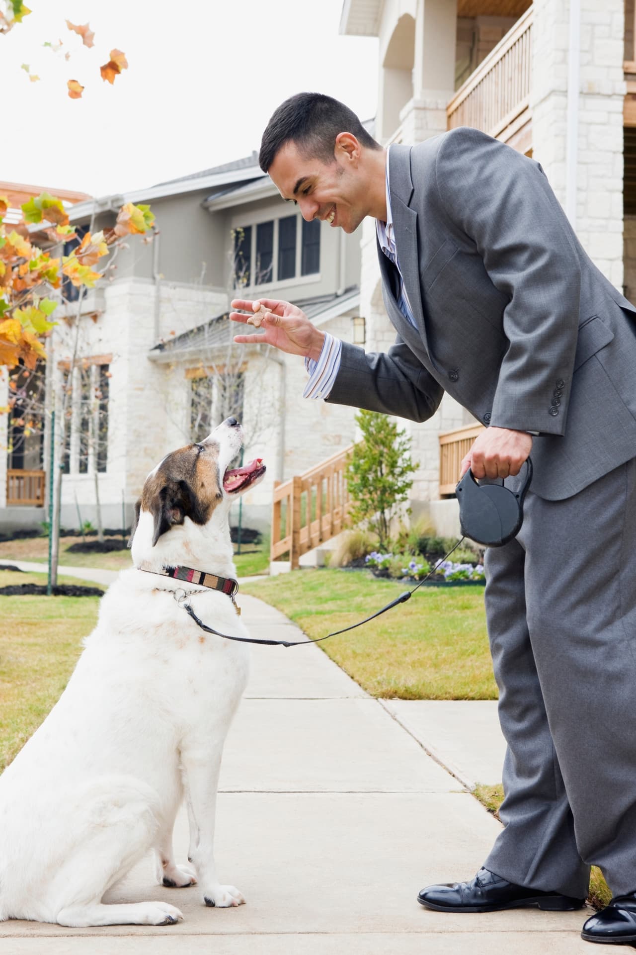 Entrenamiento. Antes de comprar o adoptar a una mascota, los dueños responsables pensarán en lo esencial que es el entrenamiento.