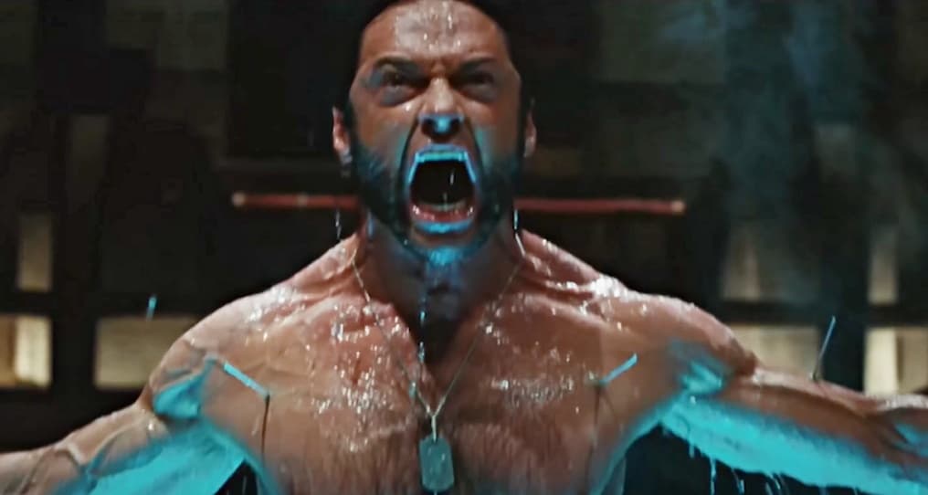 Wolverine