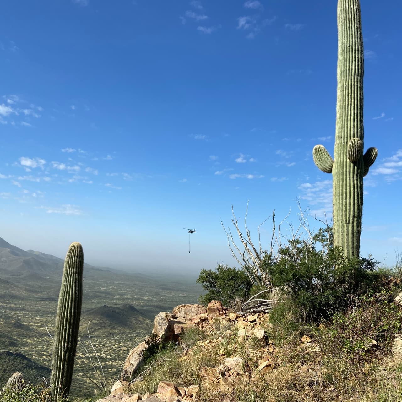 Rescatan a inmigrante guatemalteco de la muerte en las montañas Baboquivari.