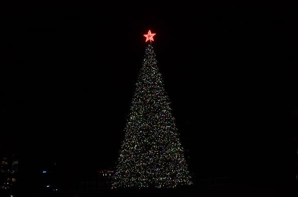 <b>Granja Devine Acres:</b> abre el 21 de noviembre en 944 FM 2200 W en Devine.
<br>
<br>
<b>Granja de árboles de Navidad de Elgin:</b> abre el 27 de noviembre en 120 Nature’s Way en Elgin. 
<br>
<br>
<b>Evergreen Farms:</b> abre el 27 de noviembre en 242 Monkey Road en Elgin. 
<br>
<br>
<b>Pipe Creek Christmas Tree Farm: </b>abre el 23 de noviembre en 805 Phil's Road en Pipe Creek. 
<br>
<br>
<b>Granja de árboles de Navidad de Seiler: </b>abre el 30 de noviembre en 4100 Jakes Colony Road en Seguin.