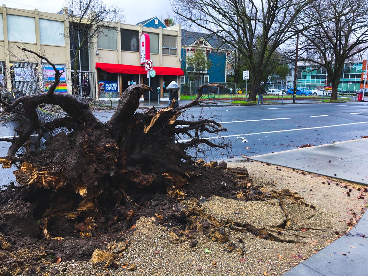 La ciudad de Sacramento, conocida como la "ciudad de árboles", vio la caída de varios de estos en diferentes comunidades.