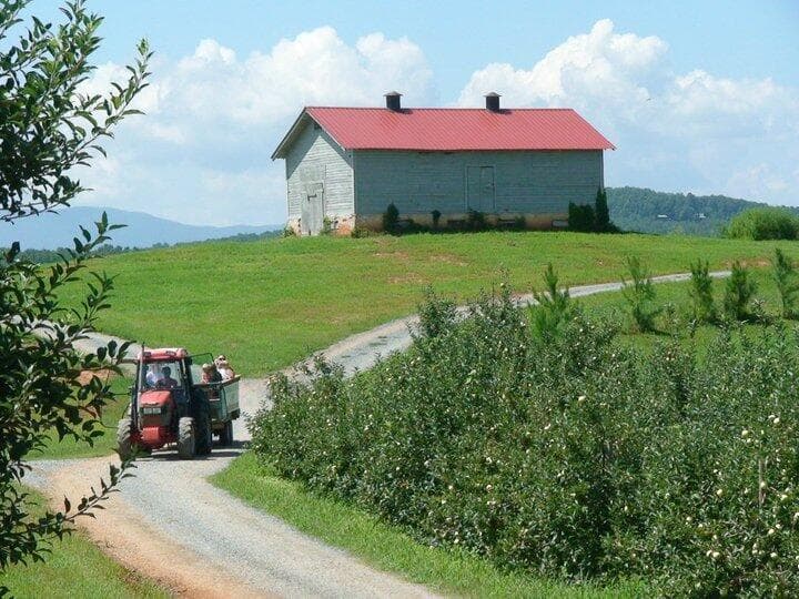 <b>MIRA TAMBIÉN</b>: Estas son 
<b><a href="https://www.univision.com/local/atlanta-wuvg/granjas-visitar-otono-georgia-fotos" target="_blank">las granjas que debes visitar</a></b> en otoño en Georgia