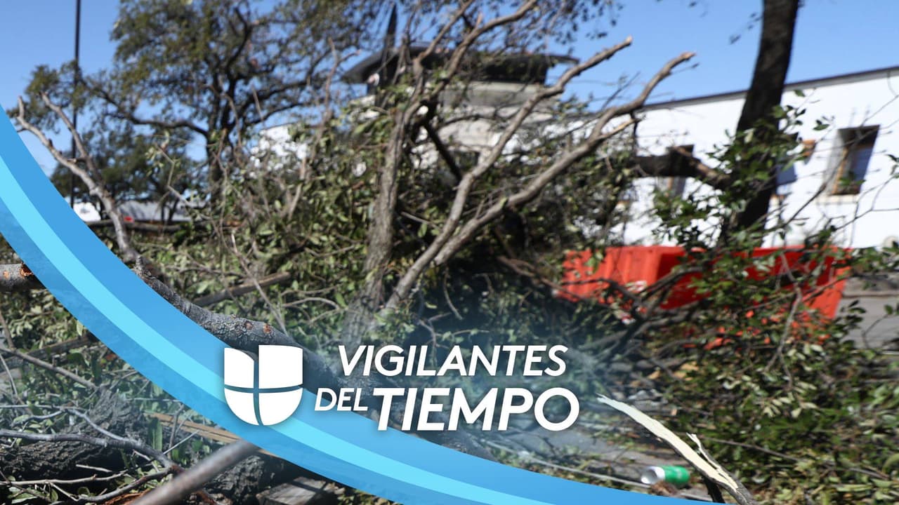 El paso de un tornado por la ciudad de Pasadena dejó 
<b><a href="https://www.univision.com/local/houston-kxln/nos-escondimos-en-el-bano-residente-del-area-de-pasadena-narra-el-momento-en-que-su-vivienda-fue-azotada-por-un-tornado-video?1111" target="_blank">destrucción en hogares</a></b>
<a href="https://www.univision.com/local/houston-kxln/nos-escondimos-en-el-bano-residente-del-area-de-pasadena-narra-el-momento-en-que-su-vivienda-fue-azotada-por-un-tornado-video?1111" target="_blank"> </a>y negocios, así como viviendas sin electricidad, semáforos y señalizaciones caídas y escombros en las vías. 
<br>
<br>En zonas como la Calle Seminole y Crenshaw Road, se pueden observar los estragos que dejó el mal tiempo.