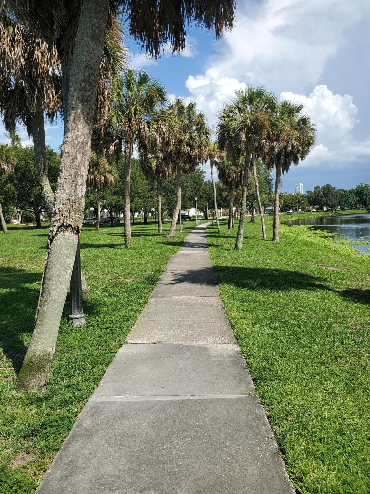 El parque tiene senderos para caminar o trotar alrededor del lago.