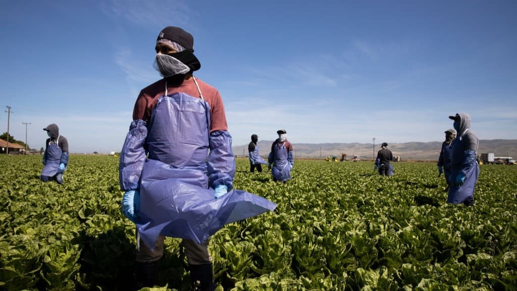 Indocumentados tienen una nueva oportunidad para recibir hasta $1,000 de ayuda por coronavirus en California