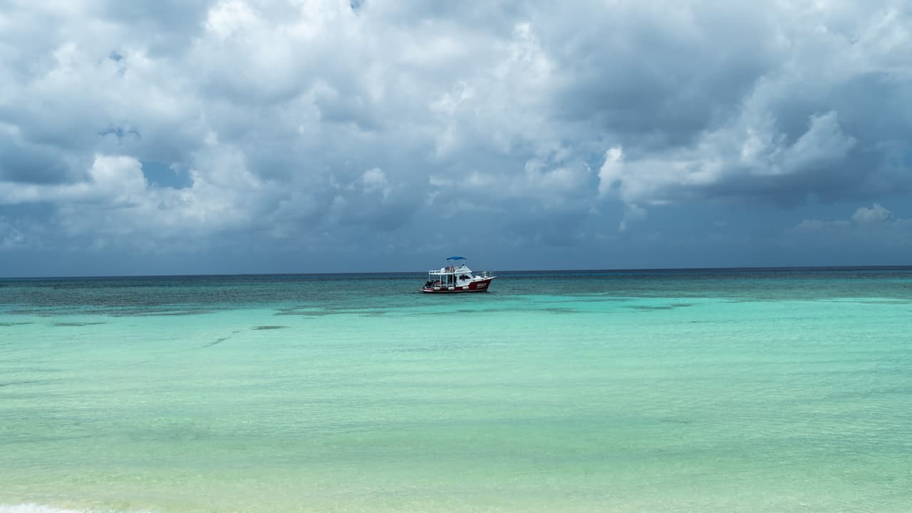 <b>Puesto 7. Playa El Cielo, Cozumel, Quintana Roo. </b>
<br>
<br>"Maravilloso lugar en el extremo sur de la isla de Cozumel. Mar turquesa, cristalino con multitud de estrellas de mar. El agua es poco profunda sobre un banco de arena..., este es un lugar de visita obligada en Cozumel", dice una turista en TripAdvisor.