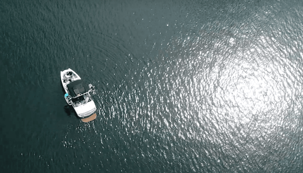 De acuerdo con las autoridades las personas y animales pueden estar expuestos a HAB mientras disfrutan de los lagos, embalses, ríos, arroyos y arroyos de California este año.