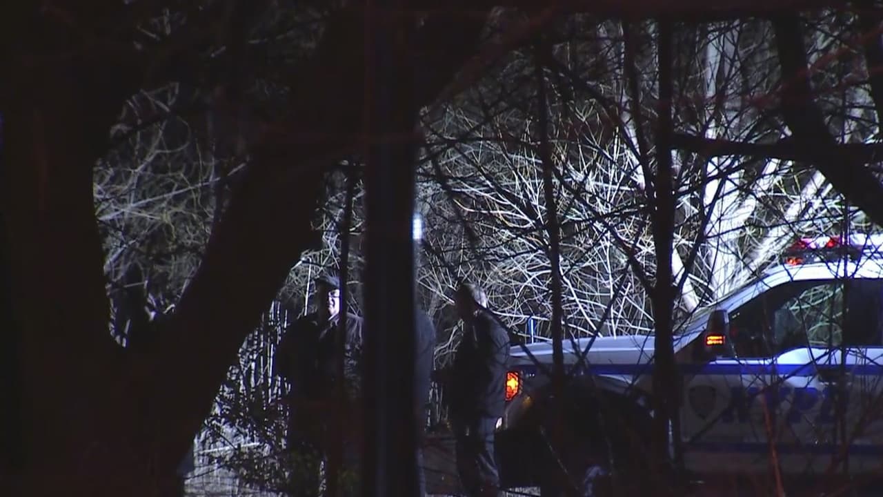 Policía identifica a mujer hallada desmembrada en parque de Brooklyn y descubre más restos