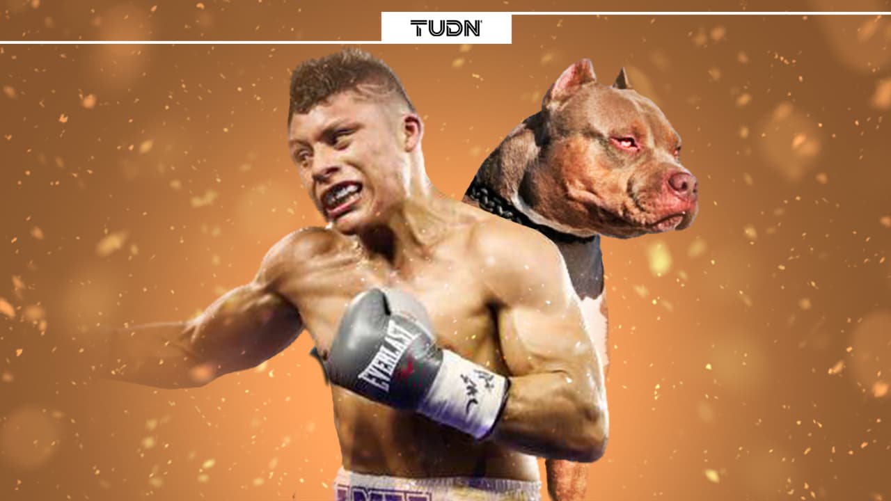 'Pitbull' Cruz, el prospecto mexicano que mete miedo en el boxeo