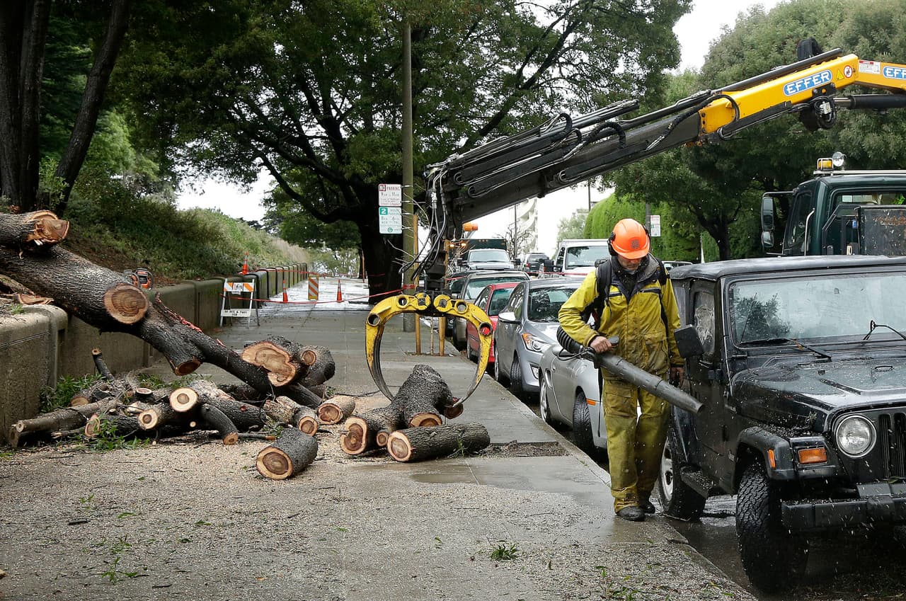 Hubo que aserrar varios árboles por peligro de que cayeran sobre personas y vehículos