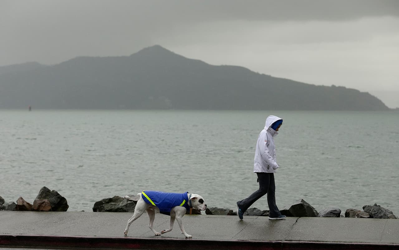 Este hombre pasea con su perro, también con impermeable, por la bahía de San Francisco