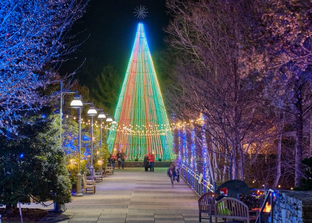 <b><a href="http://www.ncarboretum.org/winter-lights/" target="_blank">Winter Lights at the North Carolina Arboretum (hasta el 1 de enero)</a></b>: Experimenta este recorrido nocturno de 3 acres por los jardines del arboreto conocidos a nivel nacional, incluido su Quilt Garden y el Bonsai Exhibition Garden. Diseñadas para mostrar el paisaje natural, las exhibiciones presentan coloridas mariposas nativas y vida silvestre invernal con una exhibición especial de linternas con temas de insectos a la vista.