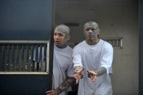 La "Mara Salvatrucha" es una de las más violentas maras, y considerada por muchos como la pandilla más violenta del mundo.