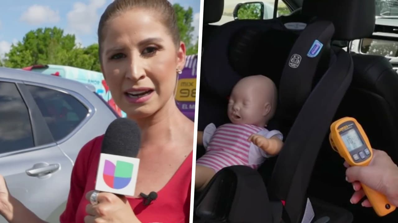 Qué le ocurre a un niño al quedar encerrado dentro de un auto y cómo actuar ante estos casos