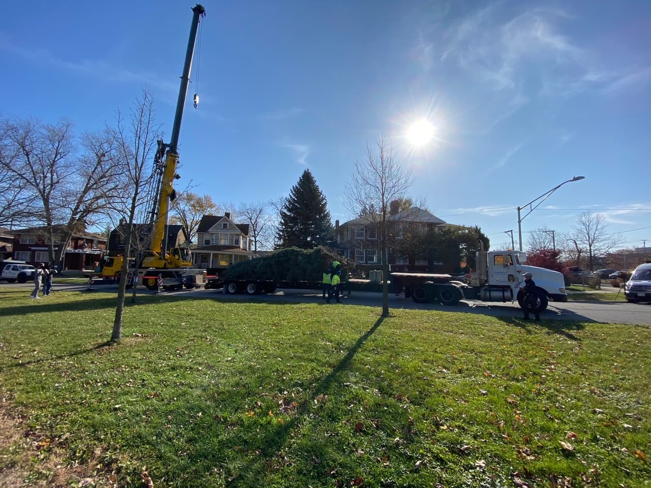 Este árbol será trasladado a Millenium Park, entre Michigan Ave. y Washington St., el 9 de noviembre y el 19 será la ceremonia de la iluminación pero este año será solo para los medios de comunicación.