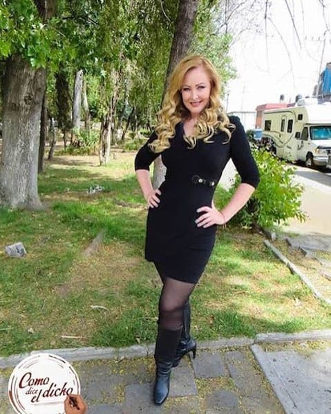 Desde 2013 no ha hecho telenovelas, la última en la que participó fue en 'Libre para amarte'.