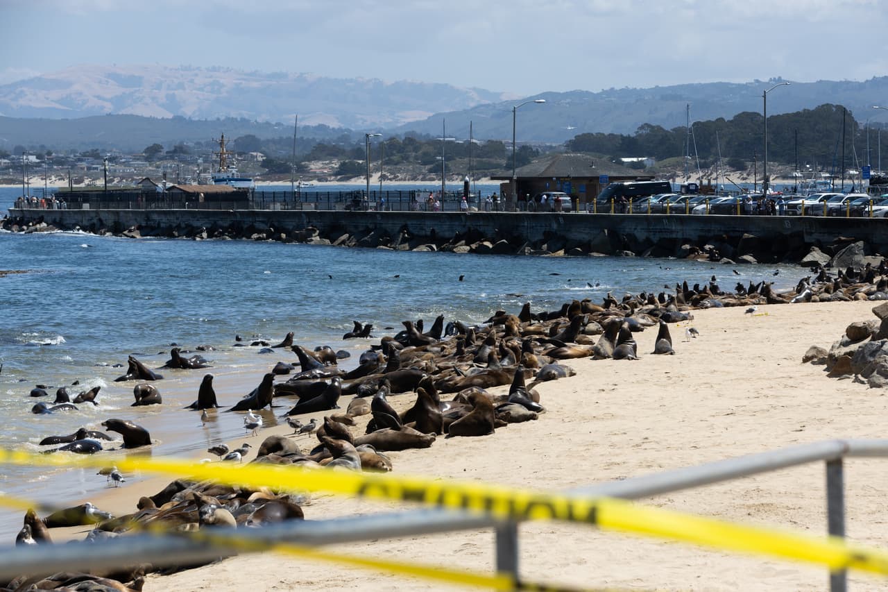 Las autoridades colocaron cinta para bloquear el área, sin embargo, muchas personas se han dado cita para ver este espectáculo de la naturaleza. 
<br>
