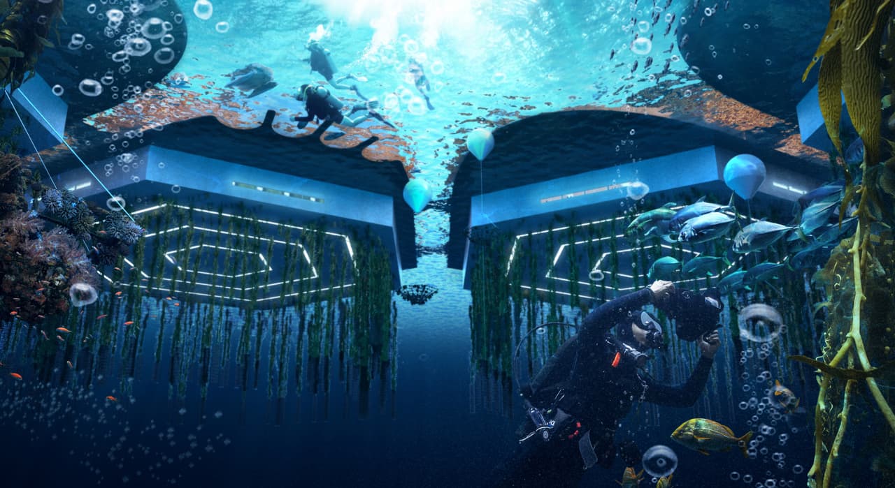 Bajo el mar, en cada plataforma, habrá arrecifes de 'bioroca' (material similar al concreto con una composición similar a la del coral natural, producido artificialmente), así como grandes bandejas con algas marinas, ostras, mejillones, vieiras y almejas, que limpiarán el agua y acelerarán el proceso de regeneración del ecosistema.