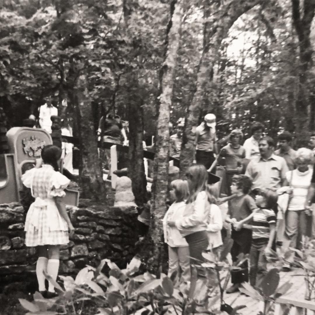 El parque saltó rápidamente a la fama y fue calificado como la atracción turística número uno en su año inaugural, según su sitio web.