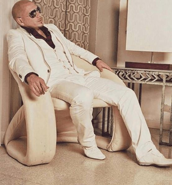 Este fiestero es una gran compañía para todo momento.