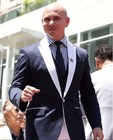 Sin duda, debe ser toda una aventura andar una noche de fiesta junto a Pitbull.