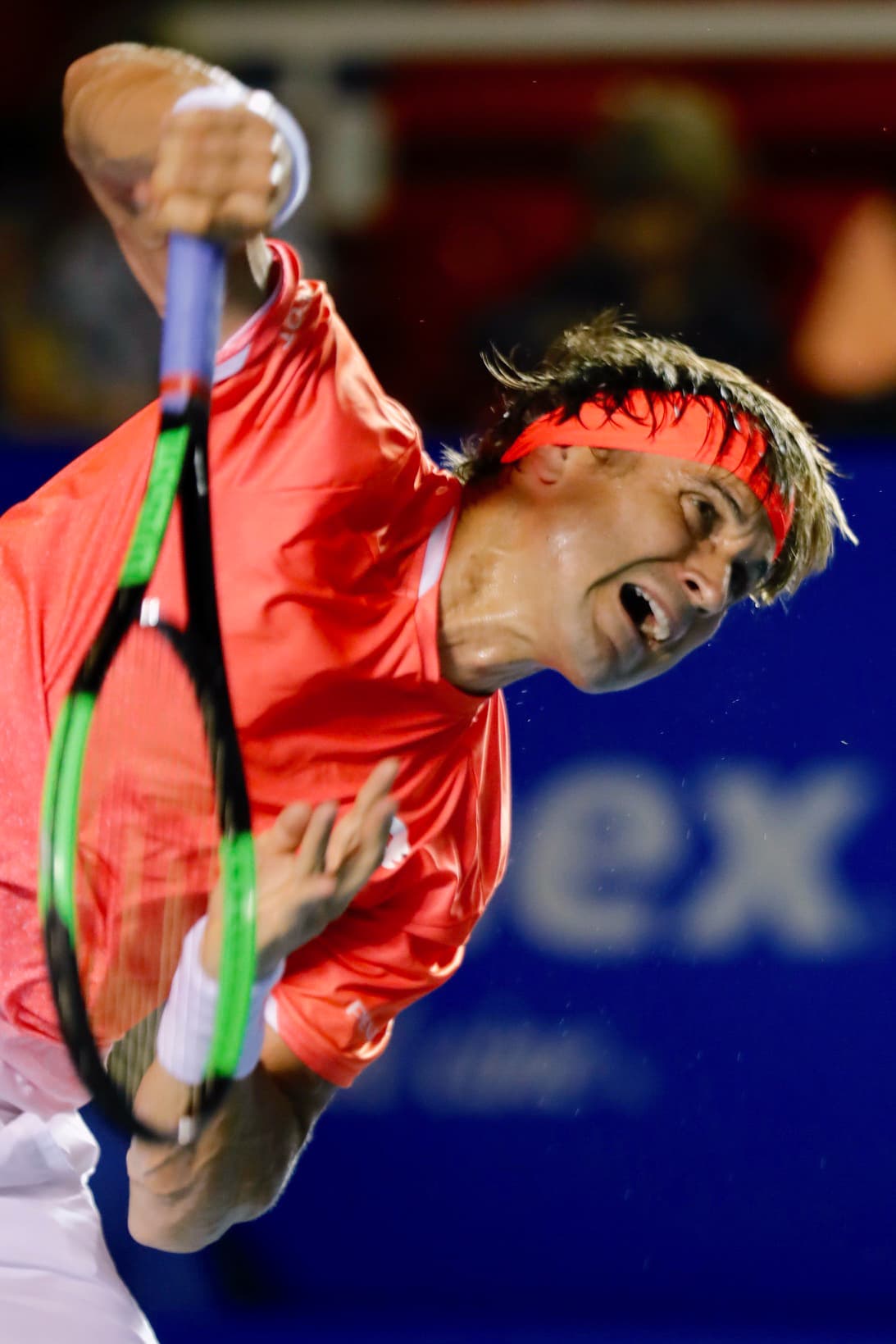 David ganó en cuatro ocasiones el Abierto de México, siendo la última vez que levantó el trofeo de campeón en 2015.