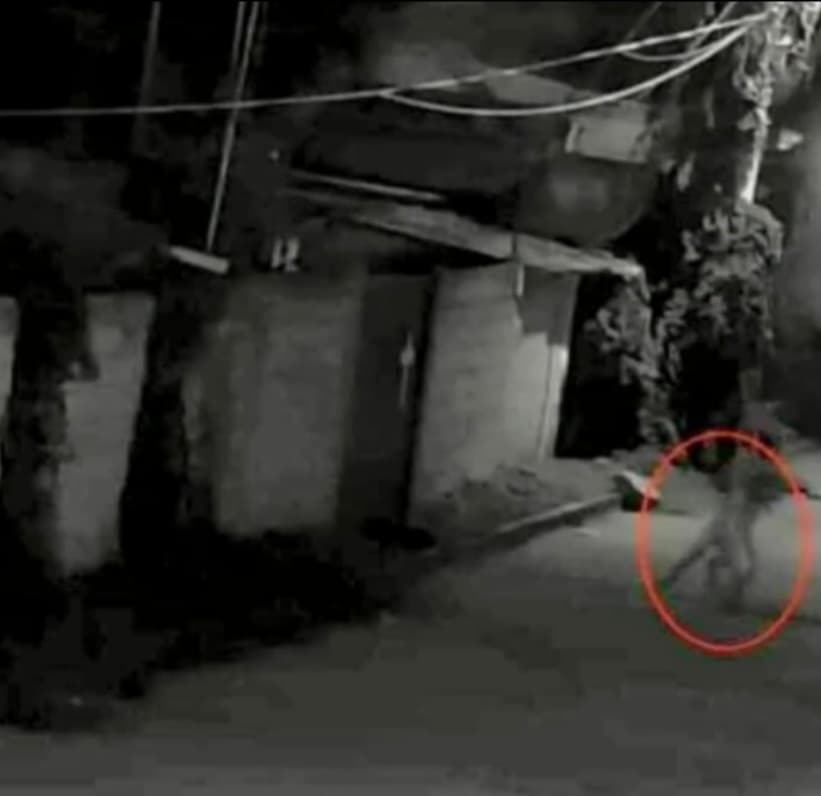 Peña, quien ha visto aumentar sus ventas de velas y artículos esotéricos para que las personas se protejan, pudo tomar una foto donde aparentemente se puede observar al Nahual el pasado 7 de agosto, tras varias veces de haber sido testigo de sus apariciones. 
<br>