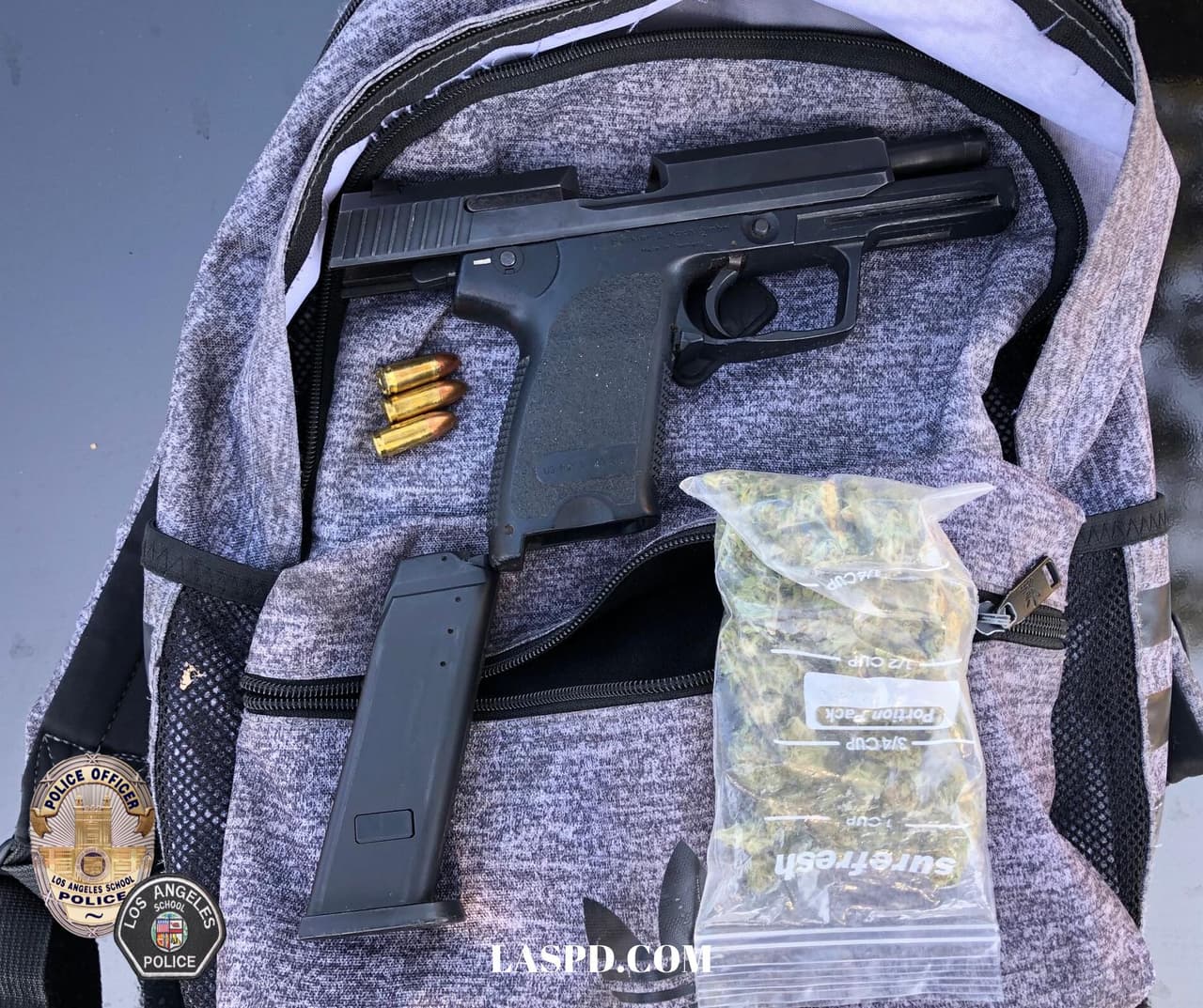 Policía Escolar decomisa dos armas en instituciones educativas de Los Ángeles