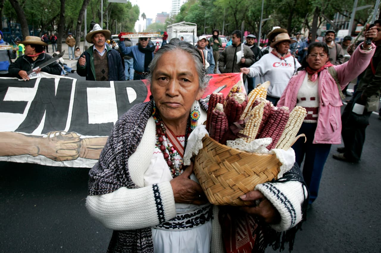 <b>La muerte del maíz.</b> Agricultores mexicanos protestan otra vez en la Ciudad de México en enero de 2008. Esta vez directamente contra la eliminación de impuestos para el maíz, frijoles y azúcar entre México, Estados Unidos y Canadá, como parte de los ajustes del Tratado de Libre Comercio.