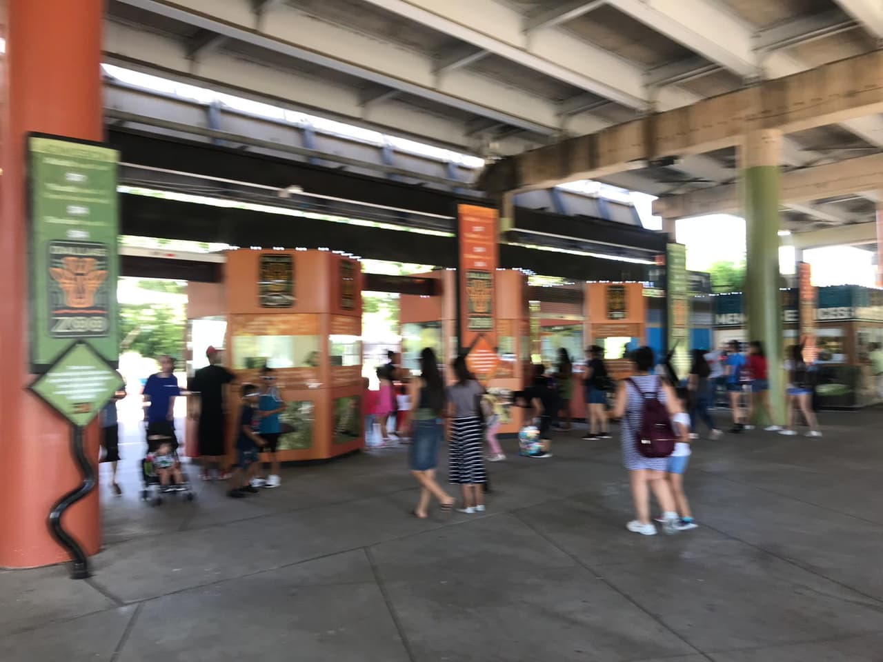 La asistencia al Dallas Zoo fue muy concurrida ante el precio de la entrada de tan solo un dólar.