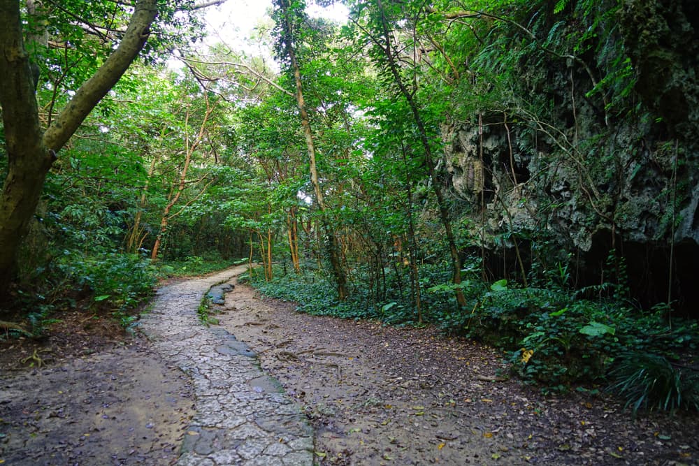 Existe también la creencia de que Sefa-utaki también es un portal hacia otra dimensión o para el mundo sobrenatural, por lo que además atrae a los amantes de lo esotérico.