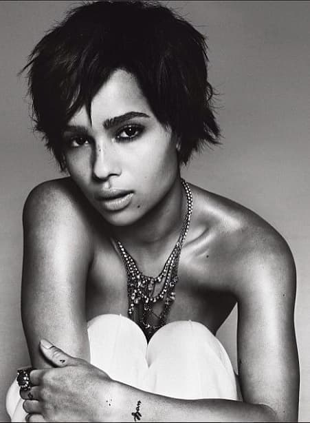 Es cantante, actriz y modelo, qué más se puede pedir. La chica Kravitz tiene todo para hacer feliz a cualquiera.