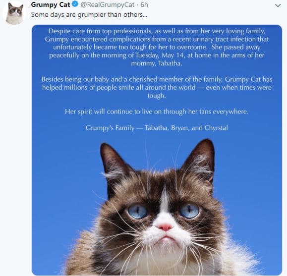 En su 
<b><a href="https://twitter.com/RealGrumpyCat">cuenta oficial de Twitter</a></b> se publicó esta imagen en la que se explica que perdió la vida tras complicaciones de una 
<b>infección del tracto urinario</b>.