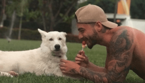 Sin camisa y en la grama; Maluma lo da todo por hacer feliz a sus hijos de cuatro patas.