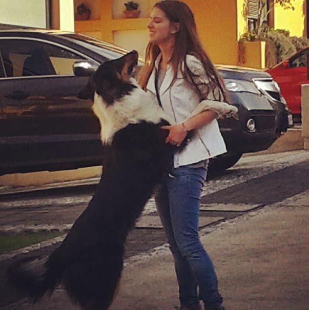 Su última participación en la televisión fue en la telenovela 'Mi pecado' en el 2009.