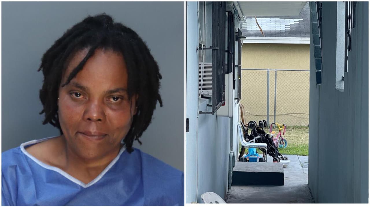 “Ven a buscarlos, ya no los quiero”, habría dicho Joassaint en una de sus llamadas al 911. La mujer enfrenta dos cargos por asesinato en primer grado y permanece en la cárcel sin derecho a fianza.
<br>