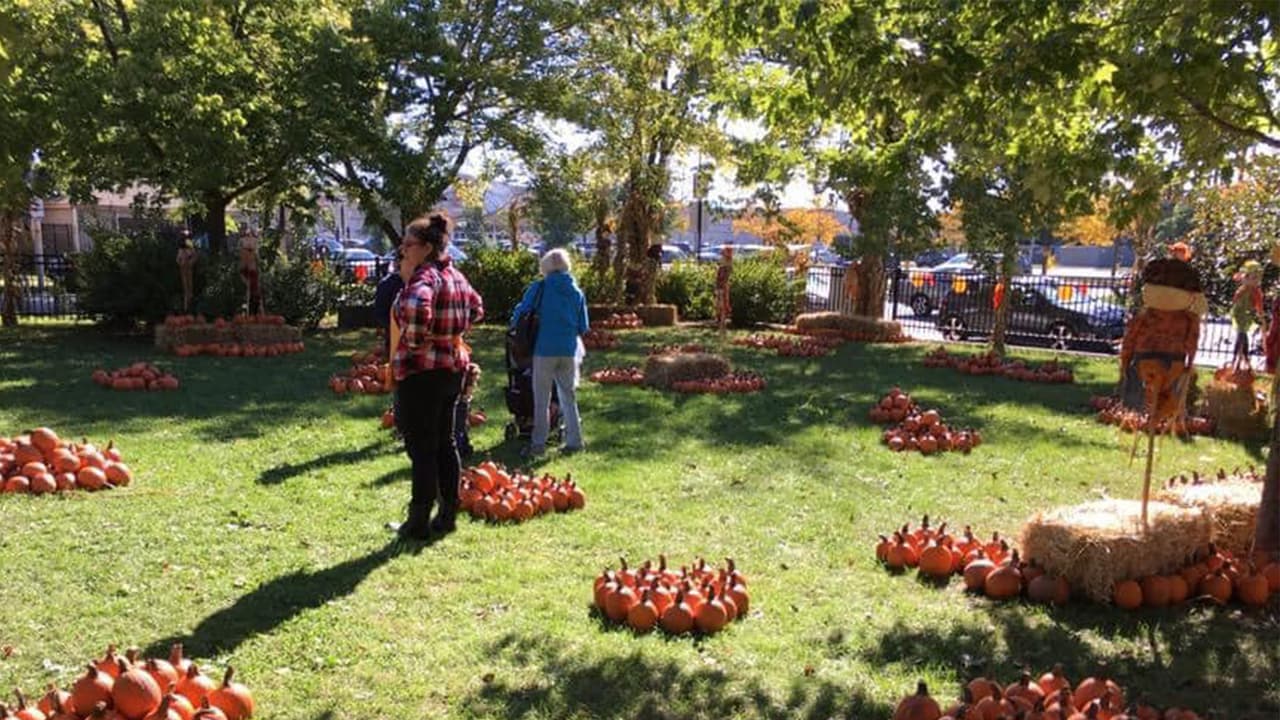 <b>Festival anual de otoño del Athletic Field Park</b>
<br>Tallado de calabazas, ponis y juegos inflables son solo algunas de las atracciones disponibles en este evento. Si deseas más información 
<a href="https://www.facebook.com/events/5440255192730787/?acontext=%7B%22event_action_history%22%3A[%7B%22mechanism%22%3A%22discovery_custom_tab%22%2C%22surface%22%3A%22bookmark%22%7D]%2C%22ref_notif_type%22%3Anull%7D" target="_blank">puedes consultar esta página</a>.
<br>
<br>
<b>¿Dónde?</b> Athletic Field Park, 3546 W. Addison St. 
<br>¿
<b>Cándo?</b> Sábado de 10 a.m. a 3 p.m. 
<br>
<b>¿Precio?</b> El acceso es gratuito, lo boletos para los juegos tienen costo de 1 dólar.