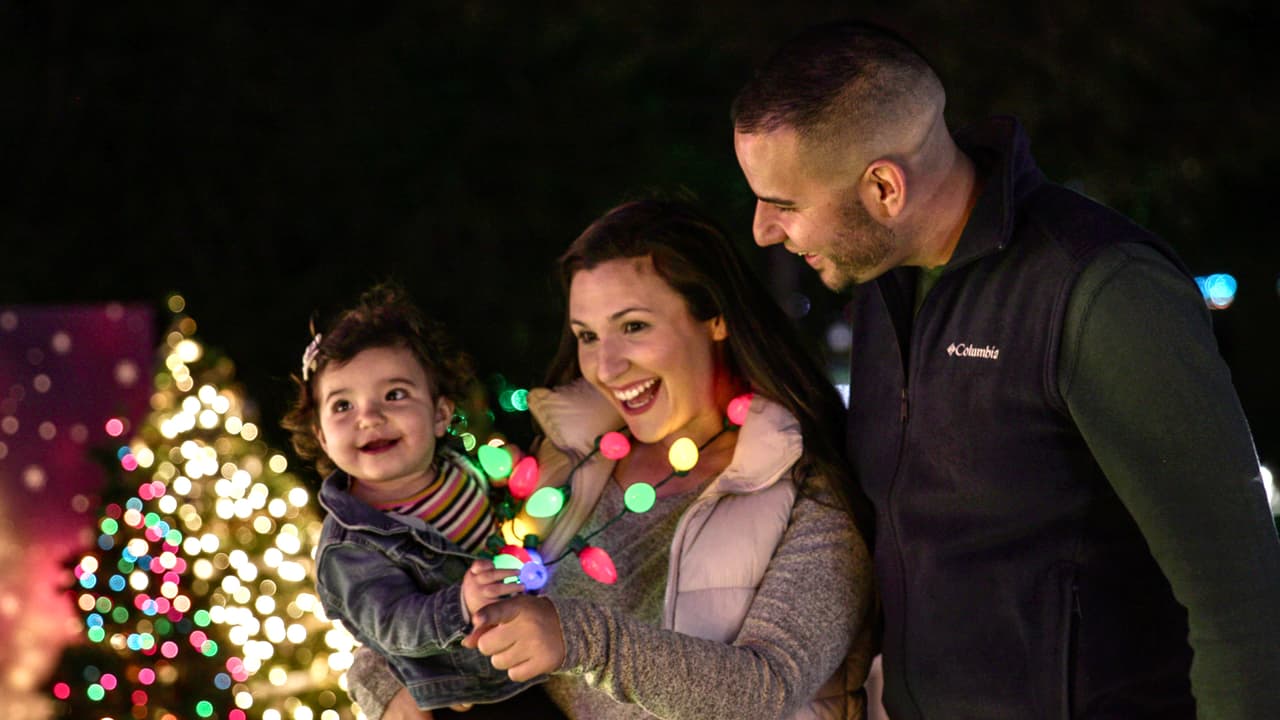 Diferentes áreas del zoológico se transforman para las fiestas y se engalanan con luces festivas.