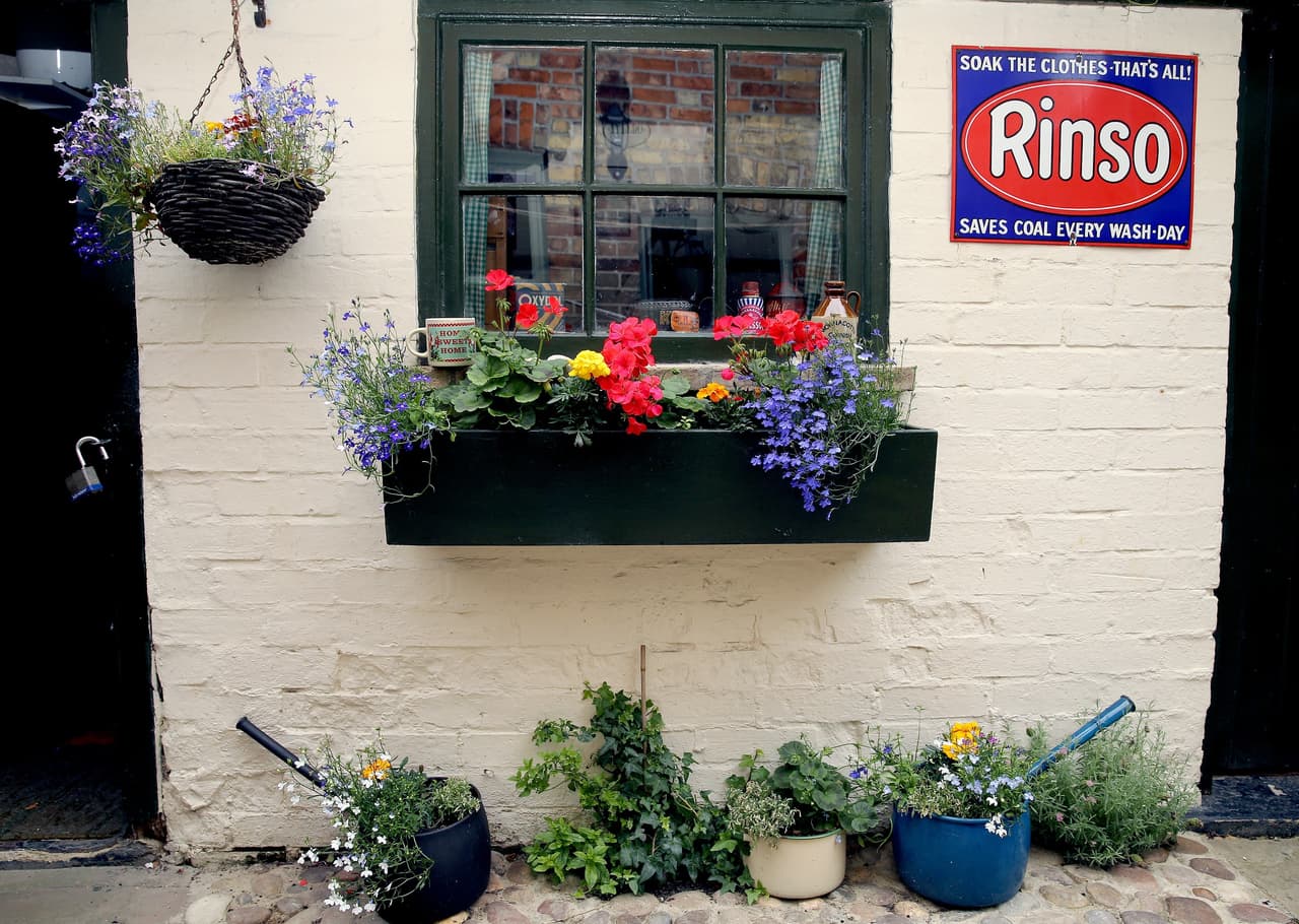 ¡Al menos las plantas coloridas sí parecen de nuestros tiempos!
