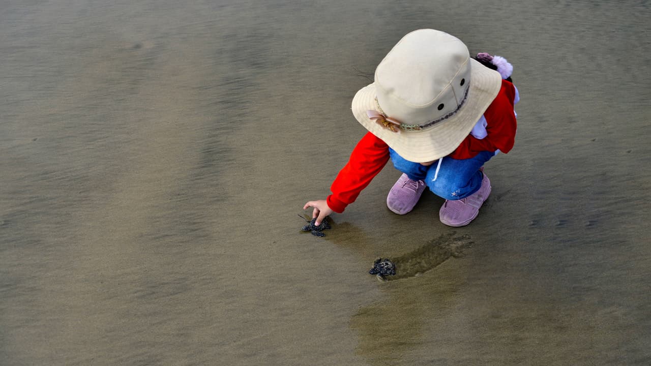 Niña de 1 año de Fayetteville muere ahogada en un estanque en Carolina del Sur