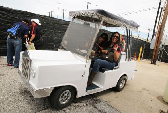 Bellas 5deMayo Dallas