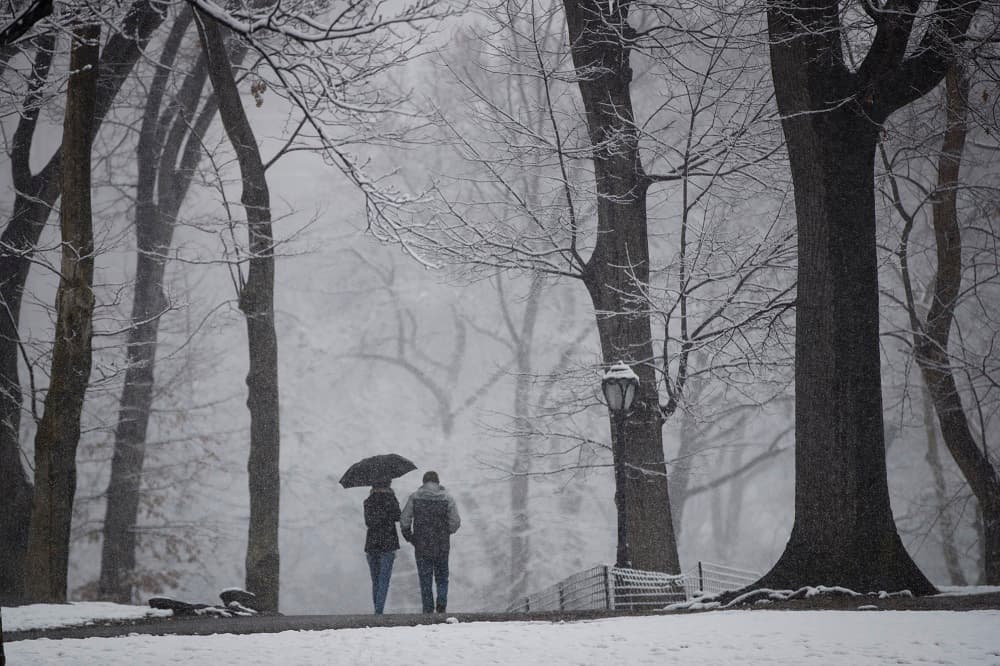 En la ciudad de los rascacielos se esperan que caigan entre 3 y 6 pulgadas de nieve y que las temperaturas bajen hasta los 39 grados Fahrenheit (4º C), aunque la sensación térmica puede ser de 25 grados (-4 ºC). En la imagen, dos personas caminan por Central Park.