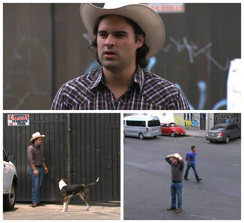 Decidió buscar suerte por su cuenta. ¡No quería saber nada de nadie!
