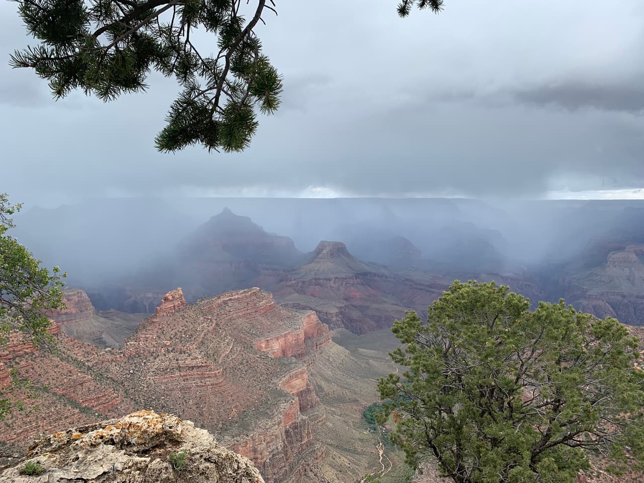 Hay la opción de quedarse en el parque o regresar a Williams el mismo día.
<br>