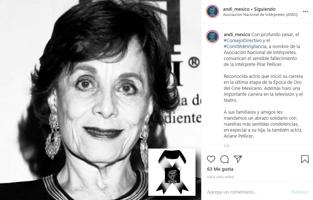 Este sábado la Asociación Nacional de Intérpretes de México (ANDI) confirmó la muerte de la primera actriz Pilar Pellicer a los 82 años, a través de un mensaje en redes sociales.
<br>