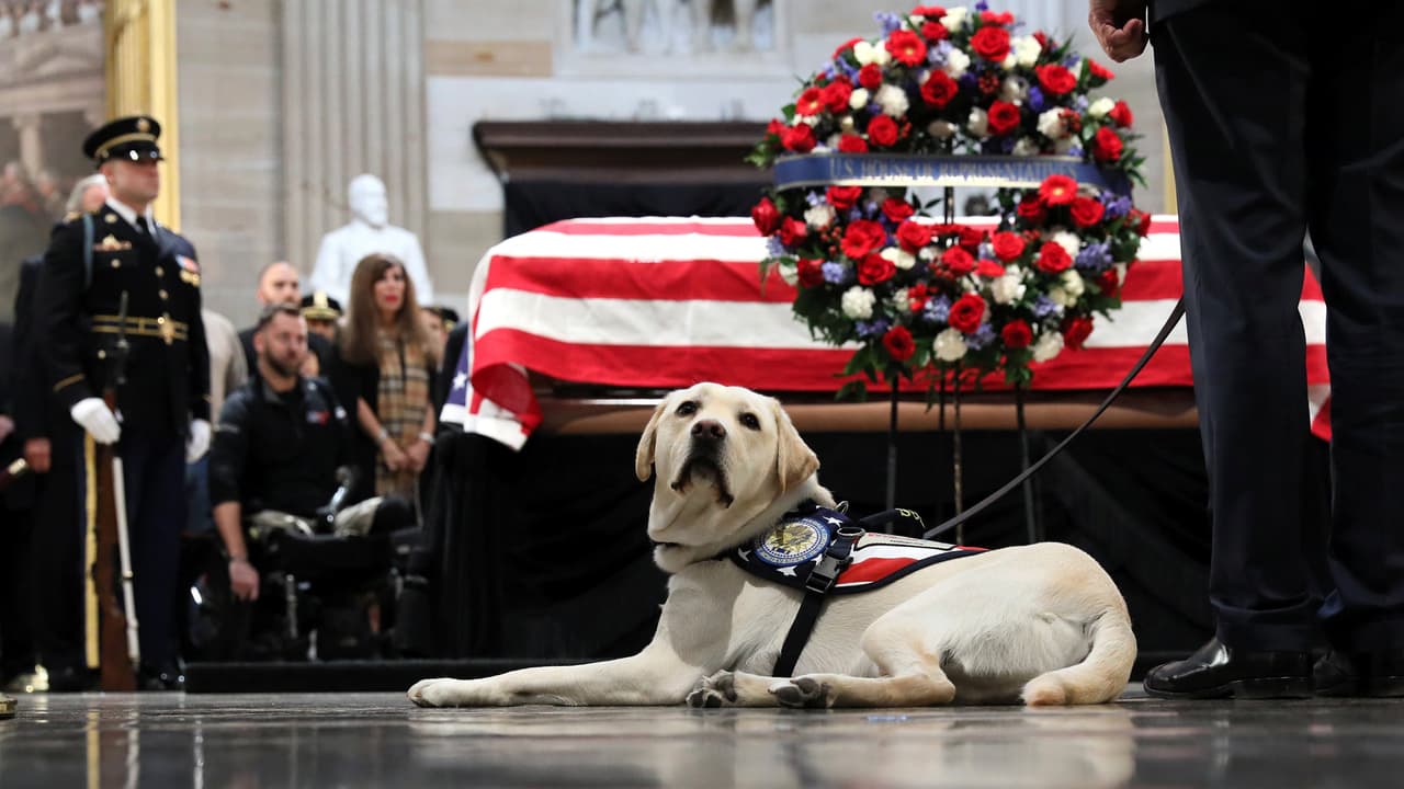 Sully rinde honores a su mejor amigo en la Rotonda del Capitolio